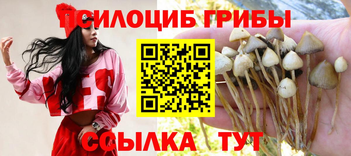 Галлюциногенные грибы Psilocybine cubensis Заречный