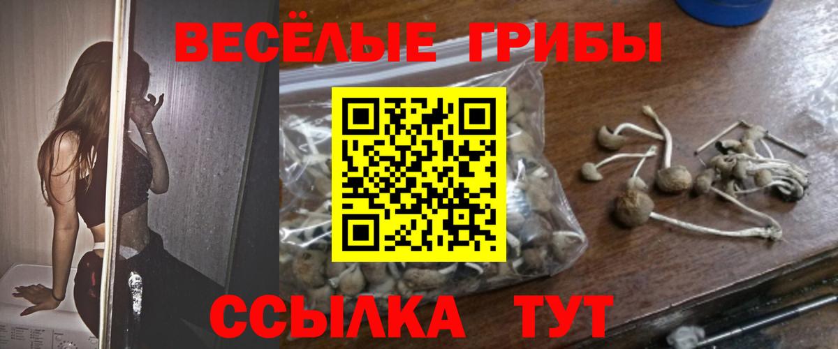 Галлюциногенные грибы ЛСД  Вход с VPN  Заречный  Галлюциногенные грибы прущие грибы 