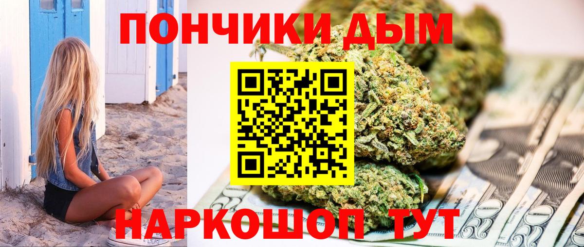 Марихуана ГИДРОПОН  Вход с VPN  Заречный  Каннабис план 